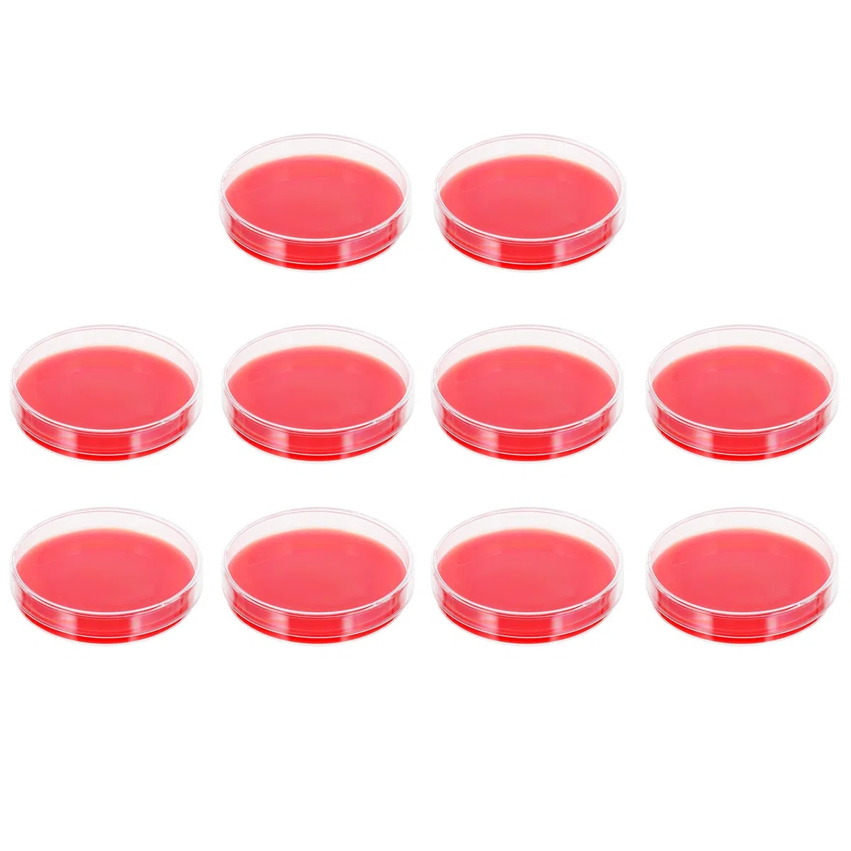 OUNONA Piastre di Agar al Sangue Rosso da 70mm per Coltura di Streptococco, Spessore Uniforme, 10 Pezzi per Uso in Laboratorio e Istituzioni Mediche