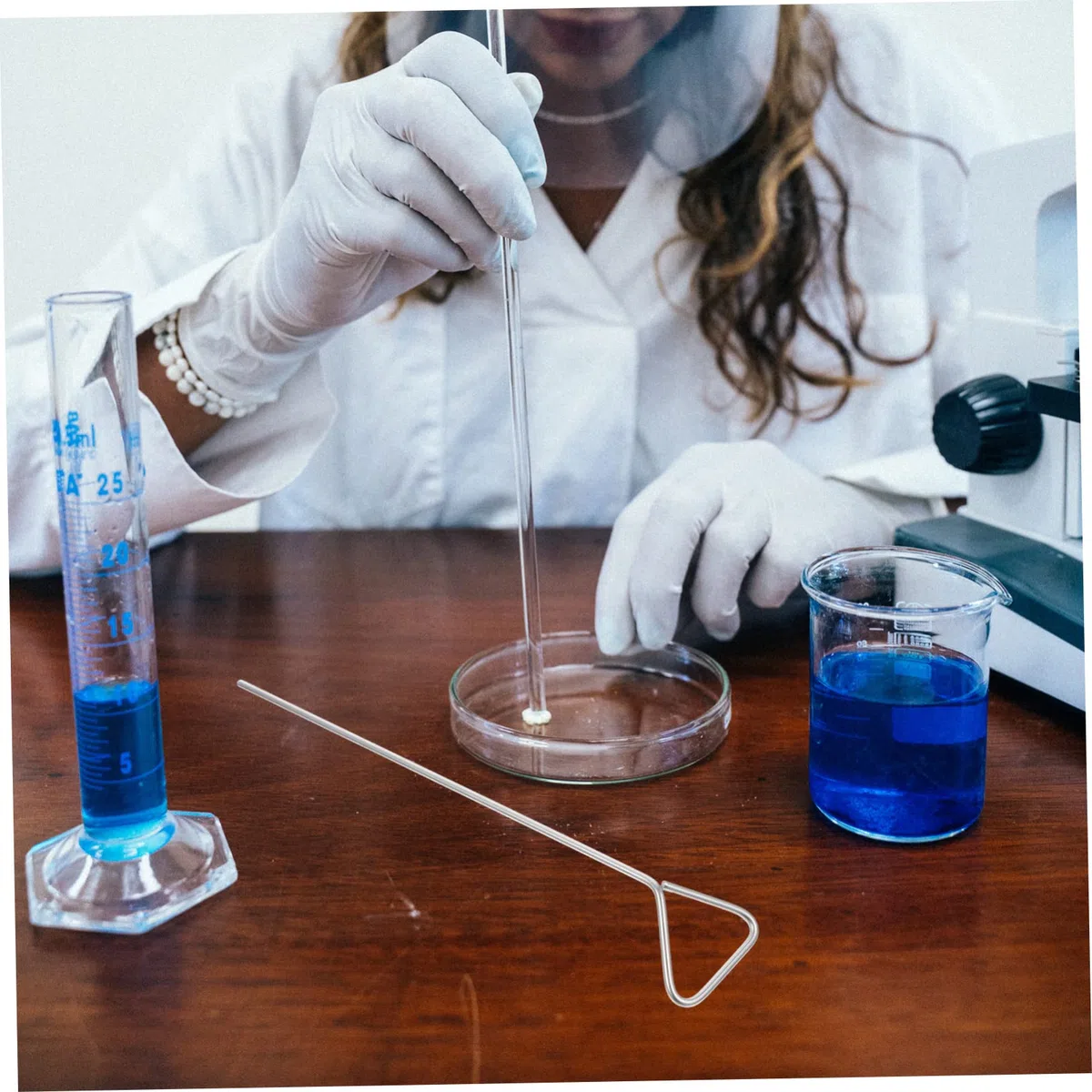 SOLUSTRE Barra di Diffusione Cellulare Triangolare in Acciaio Inossidabile 4 Pezzi, Spargitore per Colture di Laboratorio, Strumento per Diffusione Uniforme e Resistenza lungo Termine