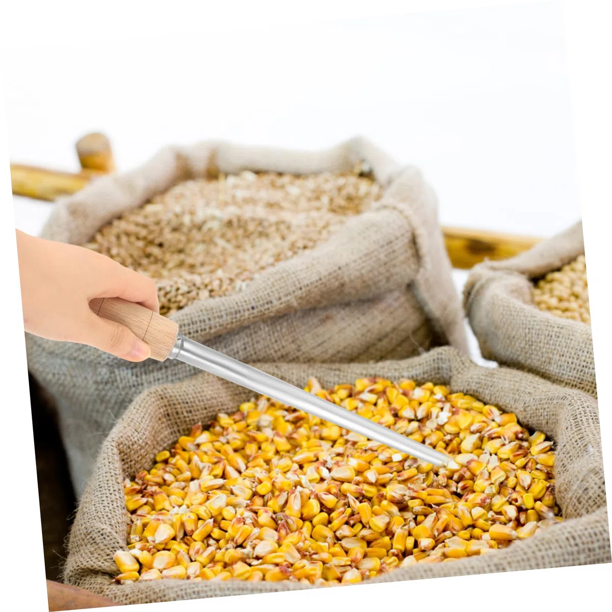 Toddmomy Campionatore Per Cereali in Acciaio Resistente Sonda Campionatore Di Grano e Mais in Legno e Facile Da Usare