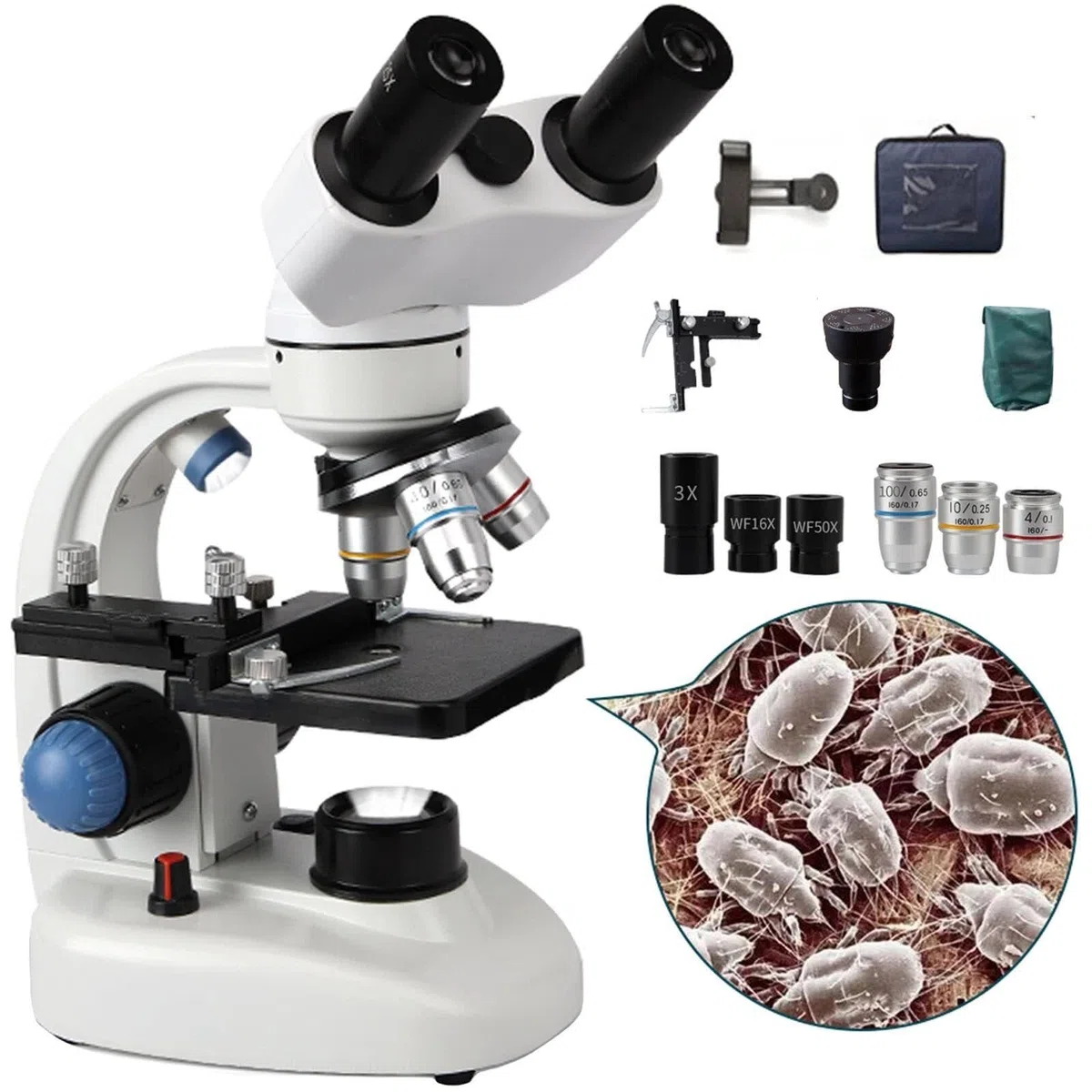 Microscopio binoculare 40x-15000x, microscopio composto monoculare e binoculare a LED, microscopio composto con oculare grandangolare (binoculare)