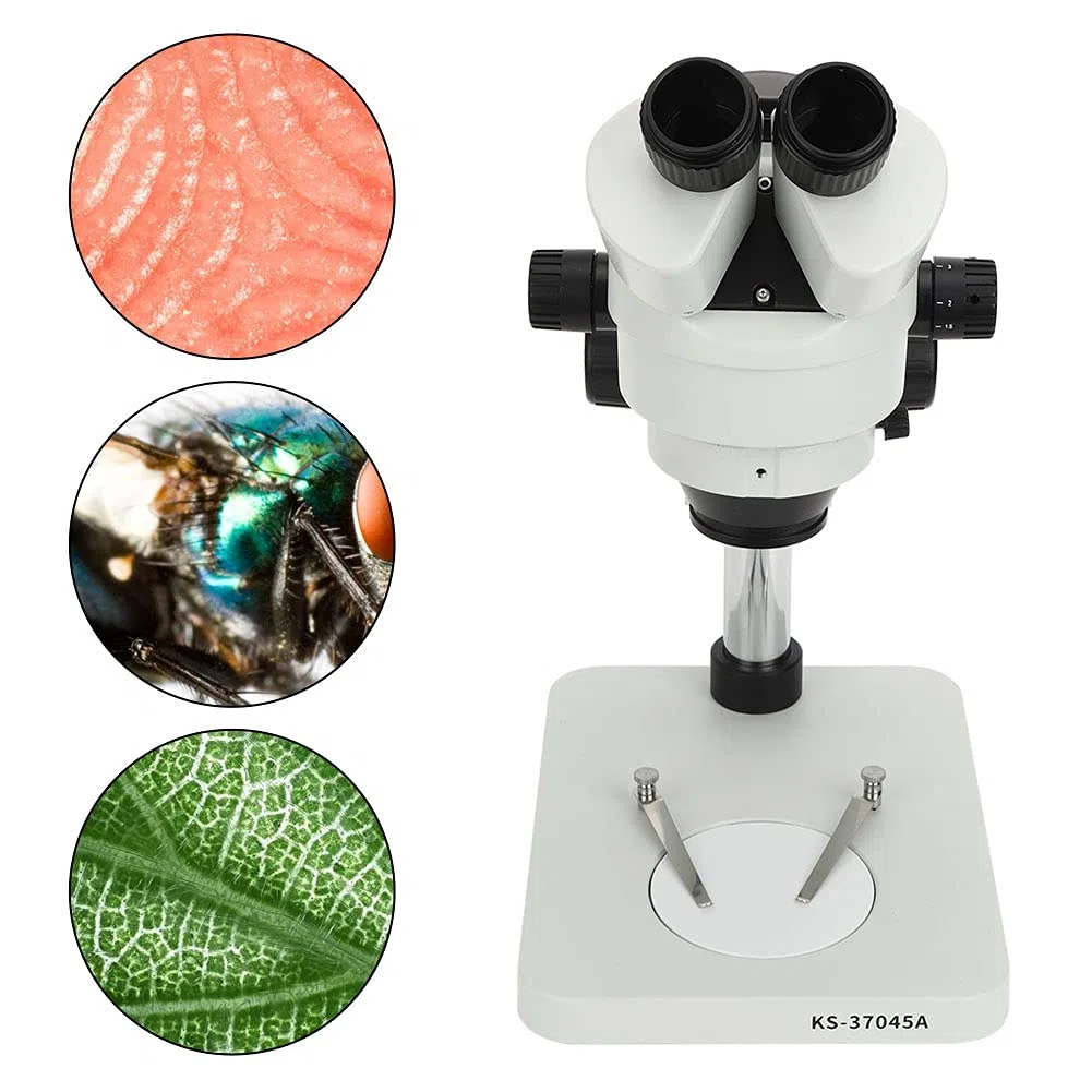 aqxreight Microscopio Elettronico Stereoscopico Trinoculare Ingrandimento Strumento di Osservazione di Laboratorio Oculare per Occhi Alti Fi Microscopio TrinoculareMicroscopio StereoscopicoElettrone