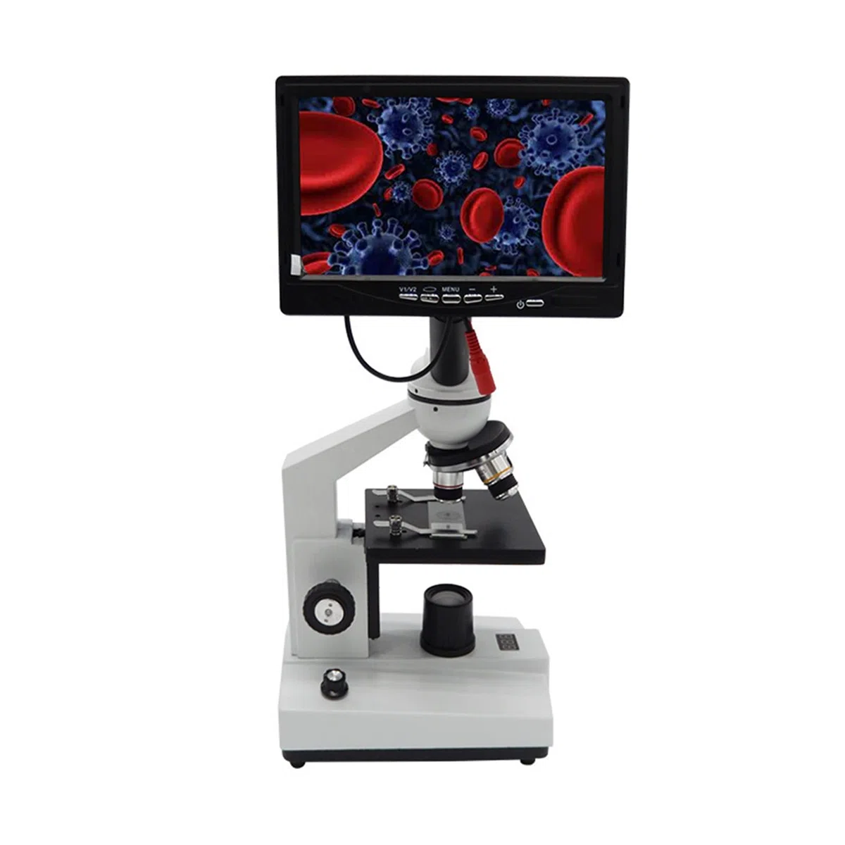 Microscopio, Display digitale Microscopio a temperatura costante opzionale professionale biologico(H21)
