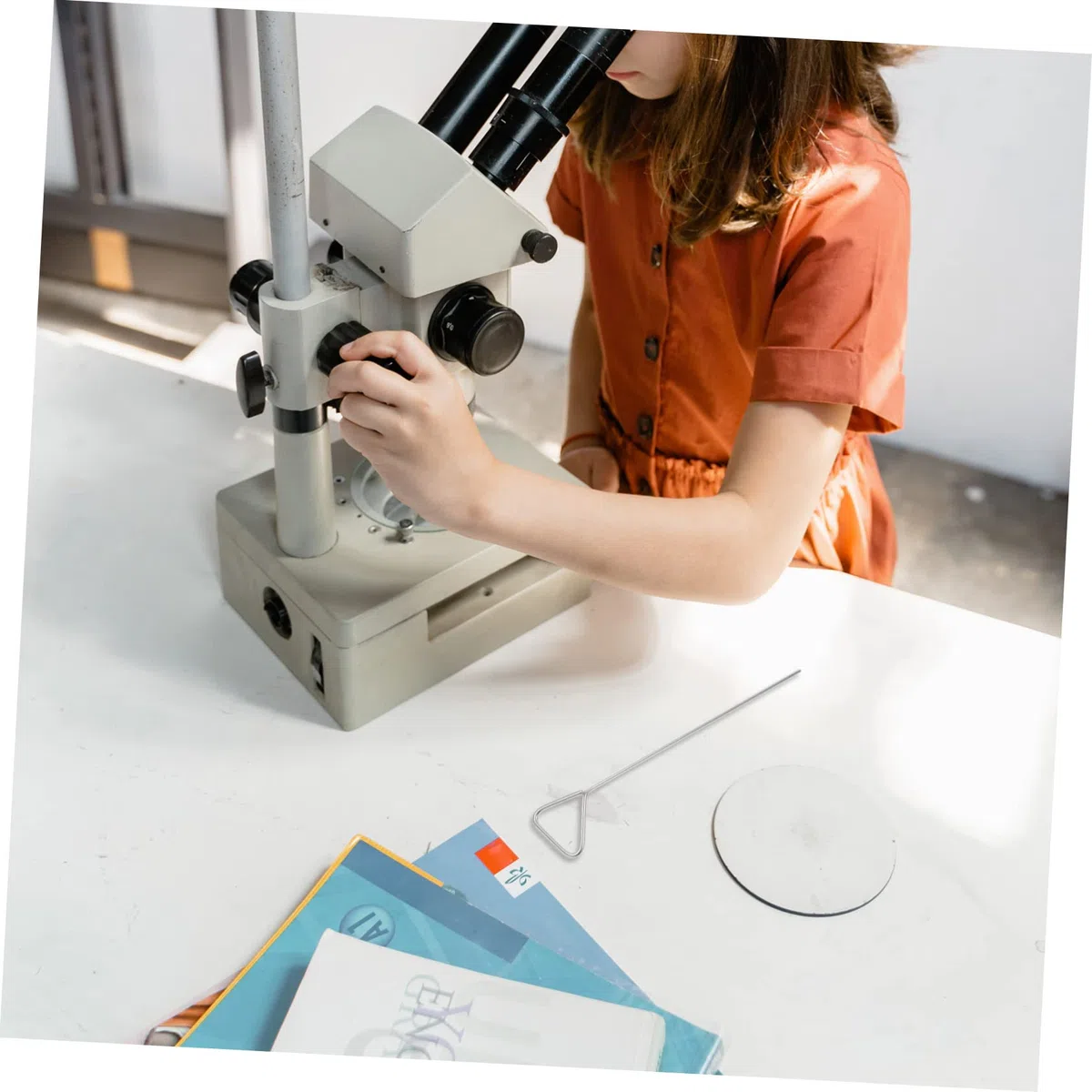 SOLUSTRE Barra di Diffusione Cellulare Triangolare in Acciaio Inossidabile 4 Pezzi, Spargitore per Colture di Laboratorio, Strumento per Diffusione Uniforme e Resistenza lungo Termine