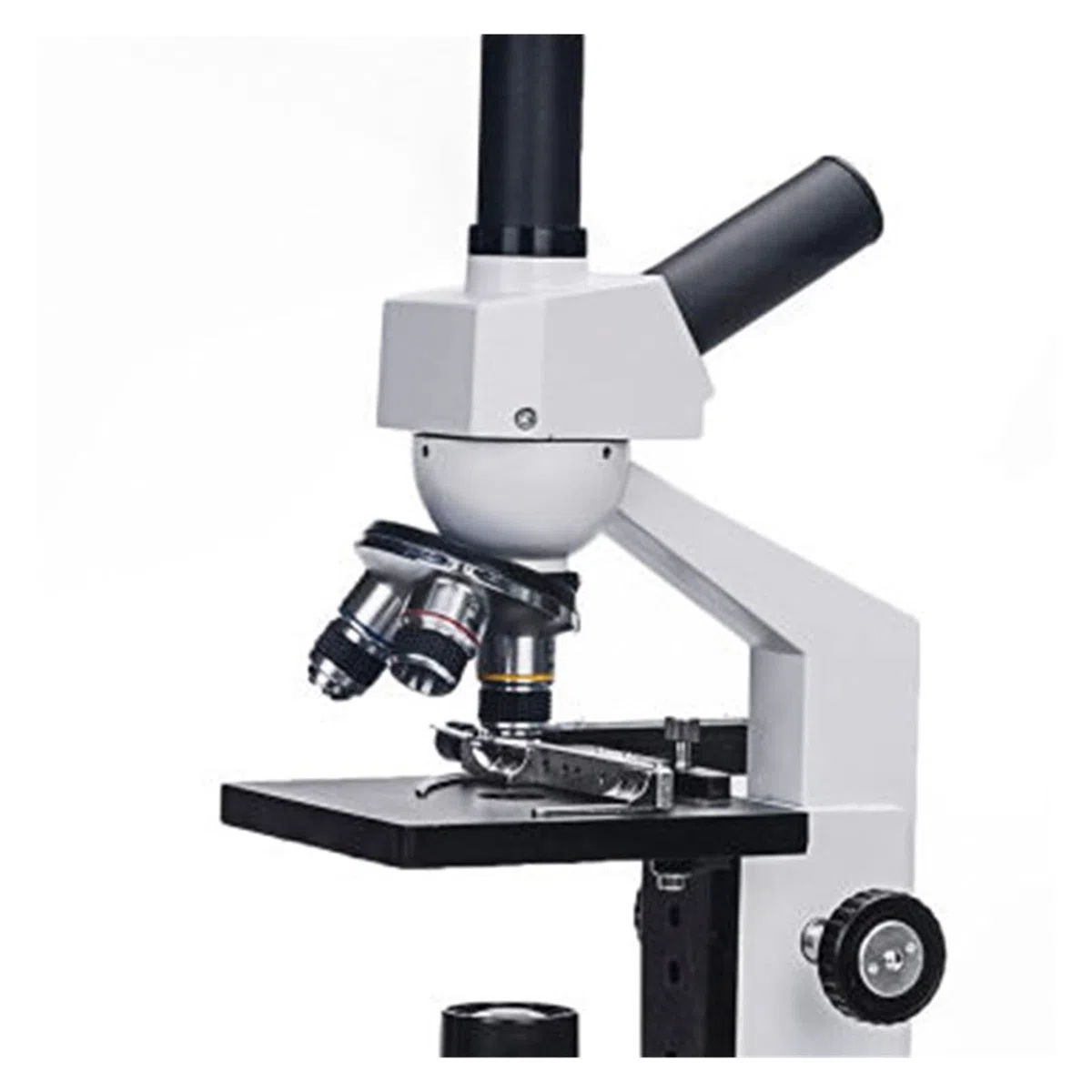 Microscopio, Display digitale Microscopio a temperatura costante opzionale professionale biologico(H21)